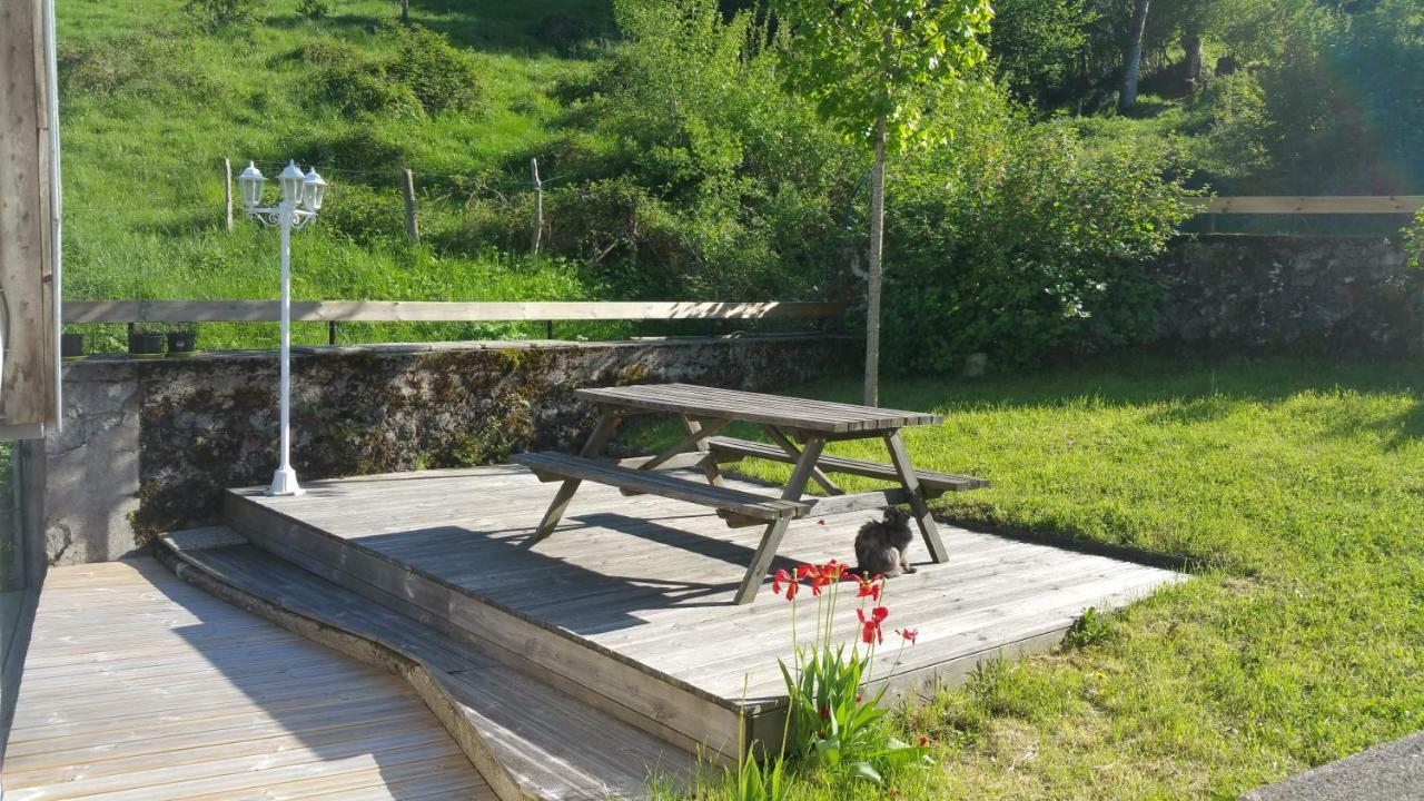 Maison Du Pays De Salers Dans Le Parc Des Volcans D'Auvergne Saint-Projet-de-Salers Eksteriør billede