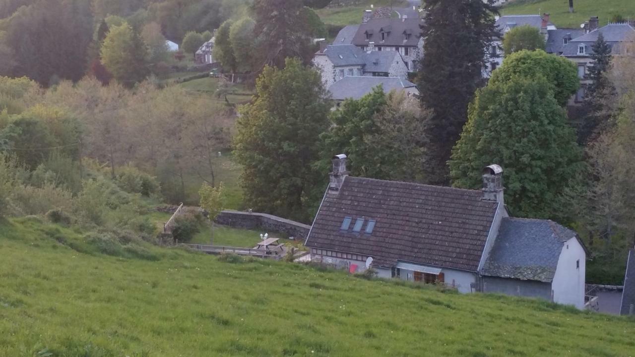 Maison Du Pays De Salers Dans Le Parc Des Volcans D'Auvergne Saint-Projet-de-Salers Eksteriør billede